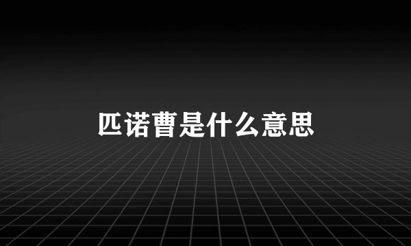 匹诺曹是什么意思