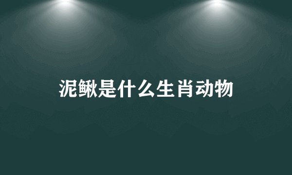泥鳅是什么生肖动物