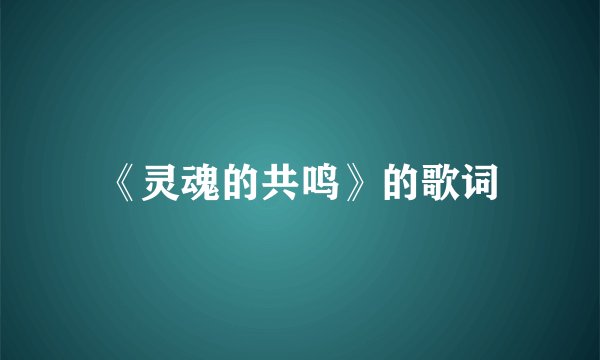 《灵魂的共鸣》的歌词