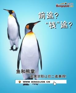 宾果求职网的简介