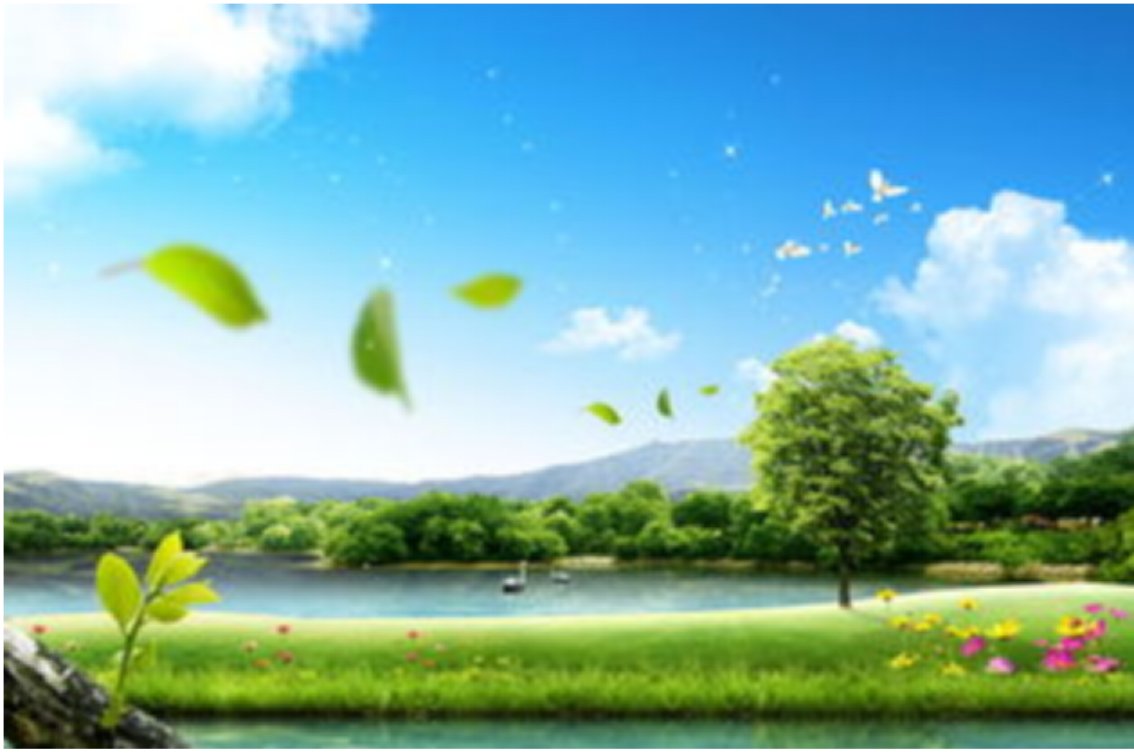 科班出身造句简短