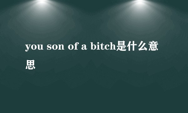 you son of a bitch是什么意思