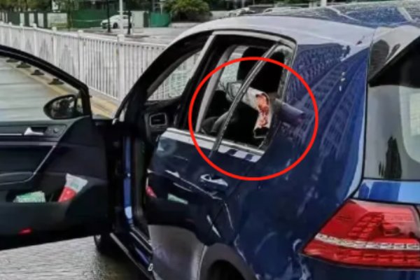 广东一辆小车撞断隔离栏司机脸被戳伤，造成这起事故的原因是什么？