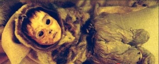 格陵兰木乃伊的介绍