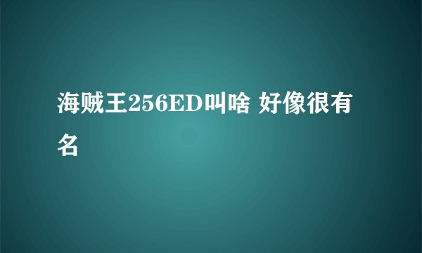海贼王256ED叫啥 好像很有名
