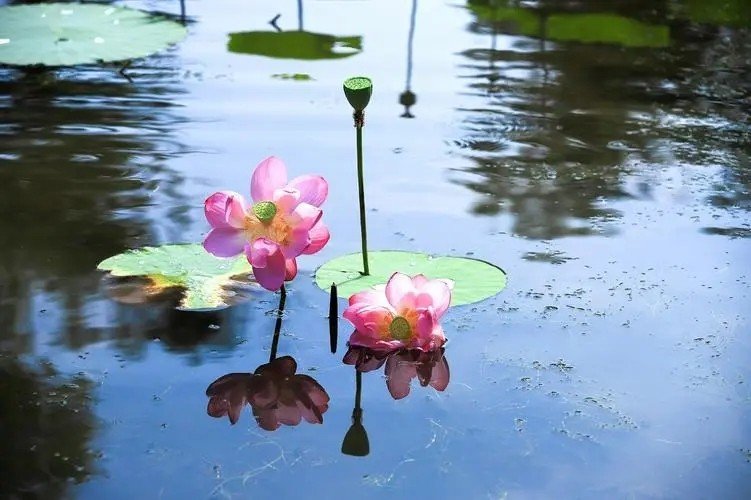 中通外直的意思