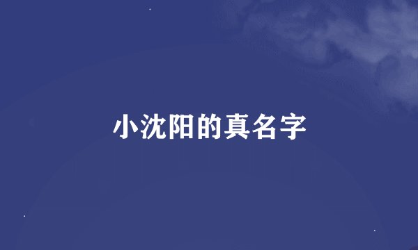 小沈阳的真名字