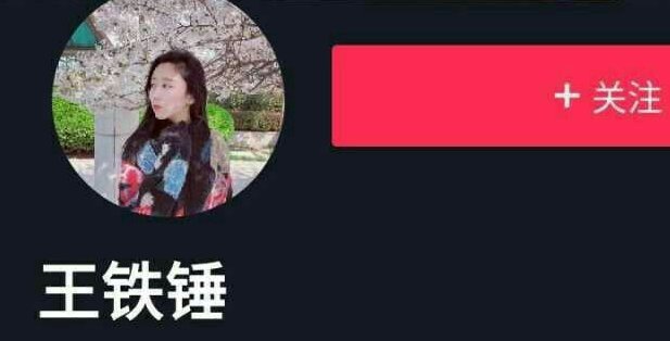 王铁锤是谁的外号？