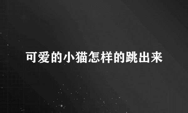 可爱的小猫怎样的跳出来