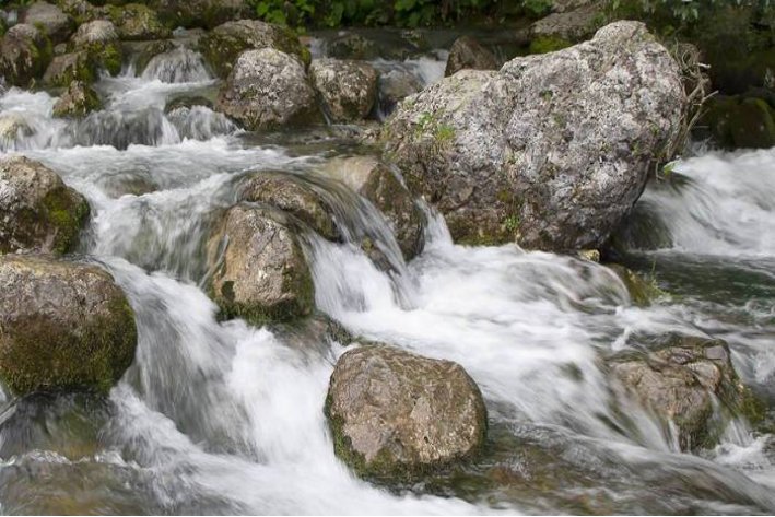 飒飒秋雨中,浅浅石榴泻的意思