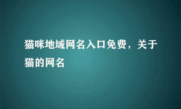 猫咪地域网名入口免费，关于猫的网名