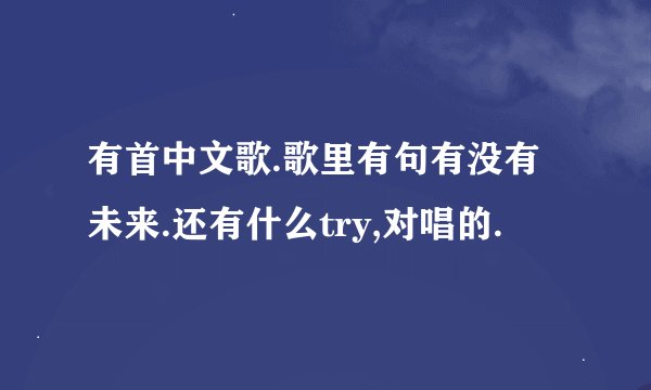 有首中文歌.歌里有句有没有未来.还有什么try,对唱的.