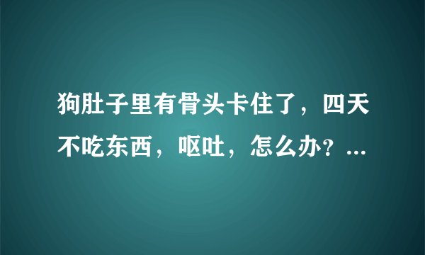 狗肚子里有骨头卡住了，四天不吃东西，呕吐，怎么办？？怎么医疗