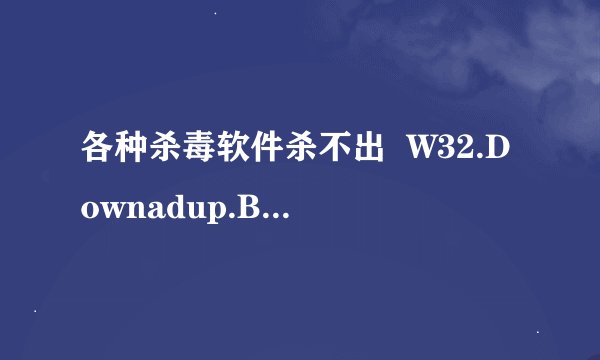 各种杀毒软件杀不出  W32.Downadup.B 的疑问
