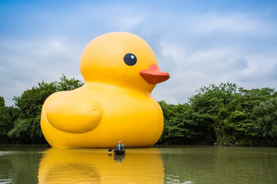 大黄鸭的由来是什么？