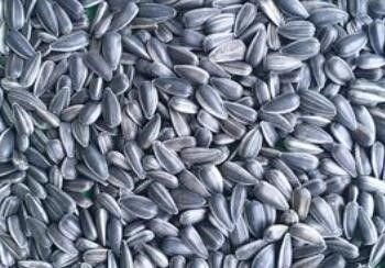 油葵仔怎么去皮？