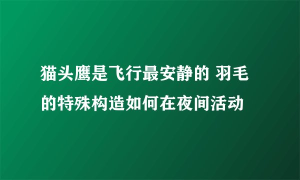 猫头鹰是飞行最安静的 羽毛的特殊构造如何在夜间活动