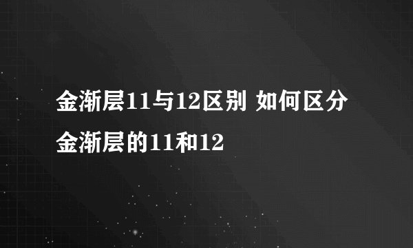 金渐层11与12区别 如何区分金渐层的11和12