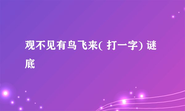 观不见有鸟飞来( 打一字) 谜底