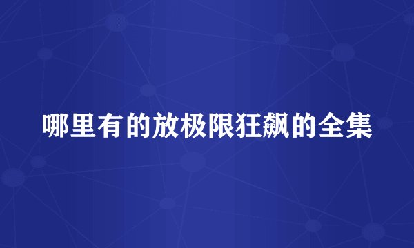 哪里有的放极限狂飙的全集