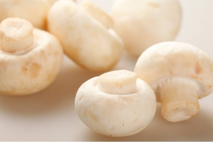 口蘑中的口字原于哪里