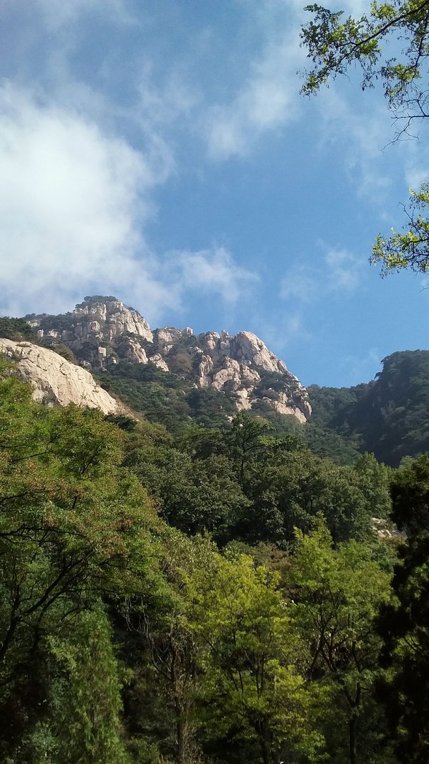 多用盐水漱口能有效抵御新型冠状病毒 蚂蚁
