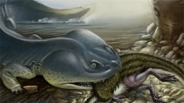 被称“水中大熊猫”的娃娃鱼，它的祖先到底是谁？