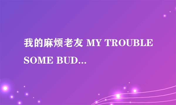 我的麻烦老友 MY TROUBLESOME BUDDY怎么样