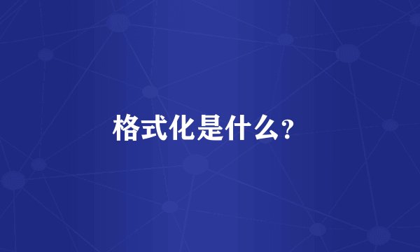 格式化是什么？