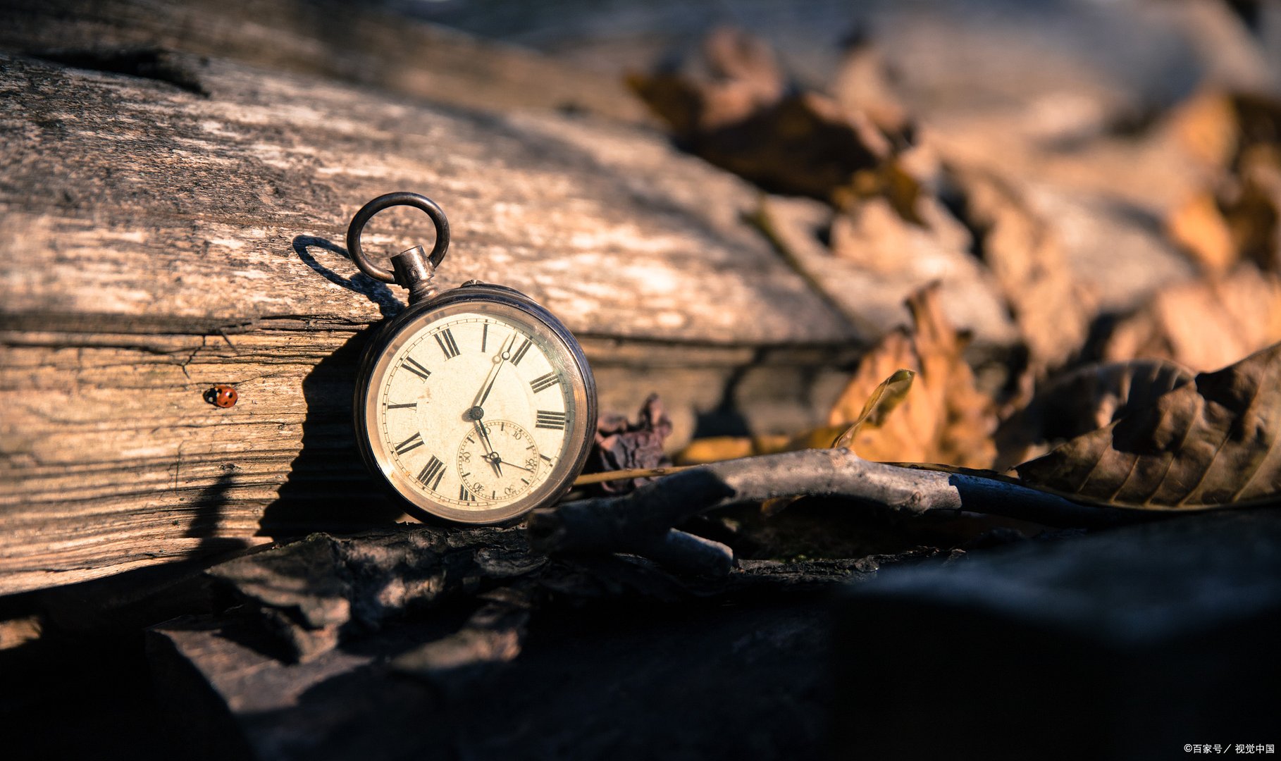 蟾宫折桂的意思