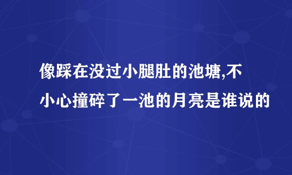 像踩在没过小腿肚的池塘,不小心撞碎了一池的月亮是谁说的