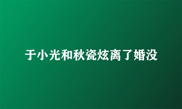 于小光和秋瓷炫离了婚没