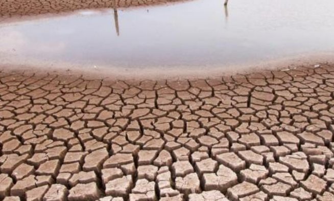 肯尼亚遇40年来最严重干旱，致二百多头大象死亡，给我们带来了哪些启示？