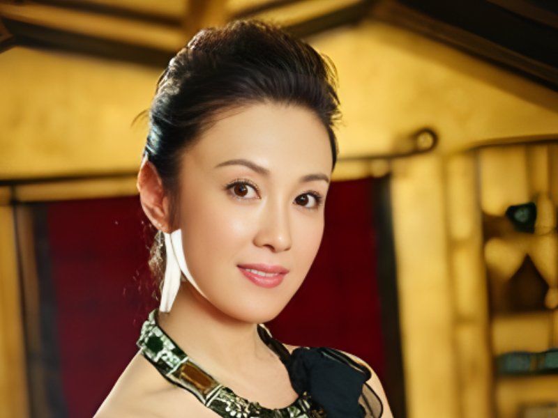 傅艺伟演的电视剧