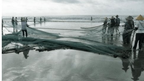 水污染的原因有哪些？