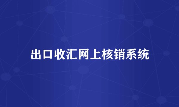 出口收汇网上核销系统