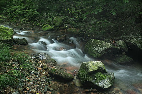 在山谷中大喊，为什么声音会回荡很久？