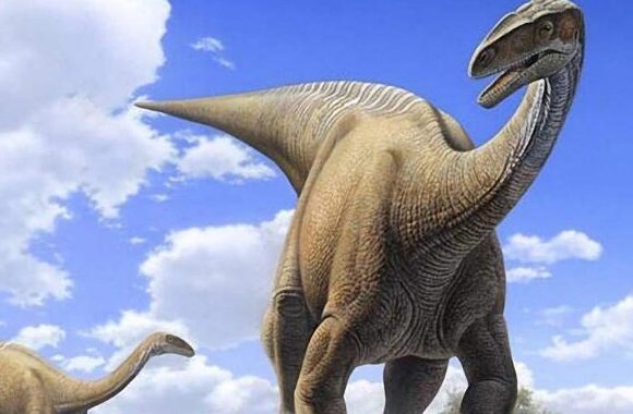 霸王龙的天敌都有谁？