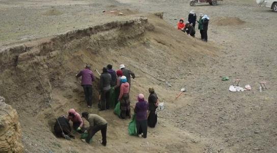 西藏发现8000年前磨制石针，史前这是做什么用的？