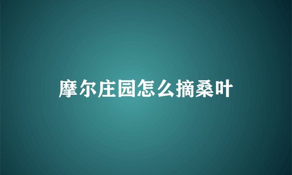 摩尔庄园怎么摘桑叶