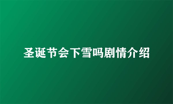 圣诞节会下雪吗剧情介绍