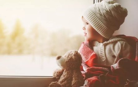 活虾从菜场拎到家熟了三只！如此炎热的天气下人们还能适应吗？