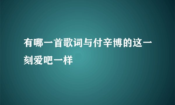 有哪一首歌词与付辛博的这一刻爱吧一样