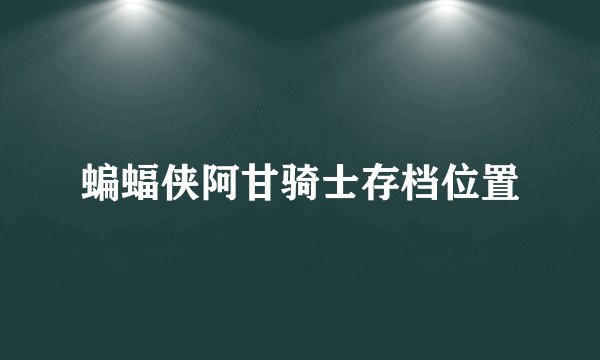 蝙蝠侠阿甘骑士存档位置