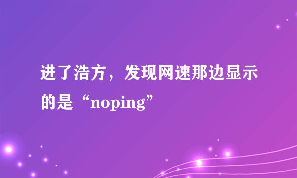 进了浩方，发现网速那边显示的是“noping”