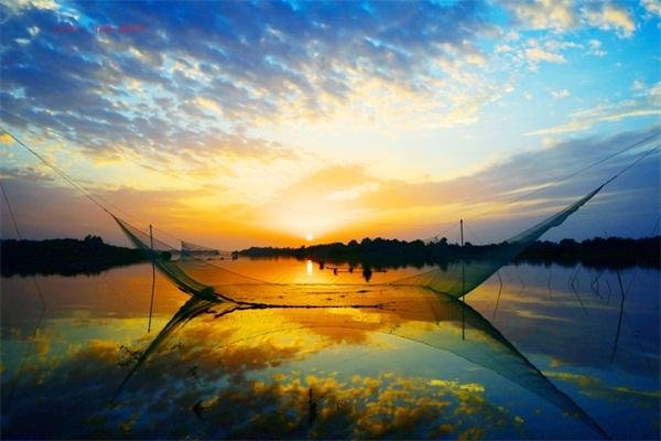 洞庭湖旱灾致大量鱼类被困死亡，高温下的洞庭湖目前面临哪些困境？