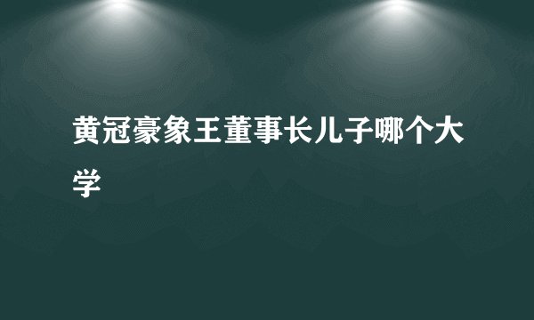 黄冠豪象王董事长儿子哪个大学