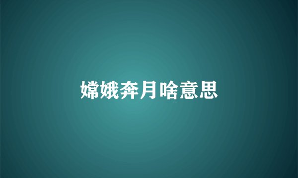 嫦娥奔月啥意思