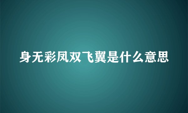 身无彩凤双飞翼是什么意思