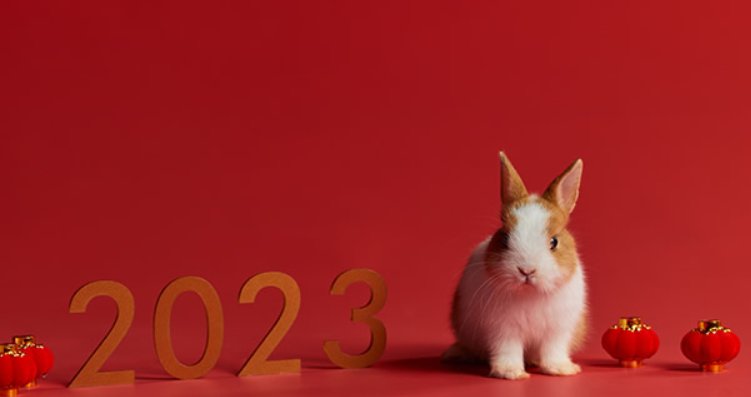 兔年的吉祥语四字